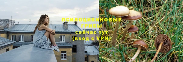 меф Алексин