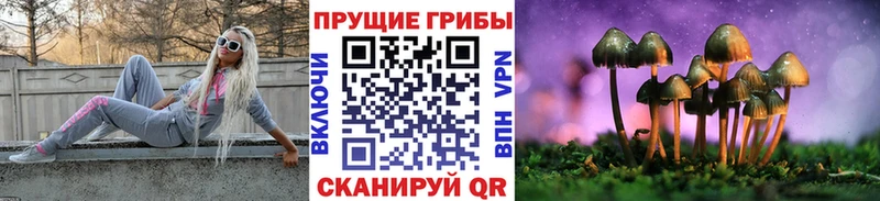 Псилоцибиновые грибы мухоморы  цена наркотик  Константиновск 